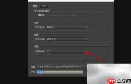 PR新建项目DV/HDV设置指南