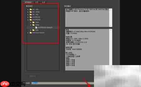 PR新建项目DV/HDV设置指南