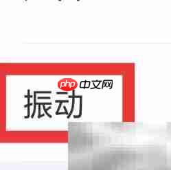 佳音交友振动设置方法