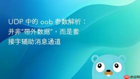 UDP 中的 oob 参数解析：并非“带外数据”，而是套接字辅助消息通道
