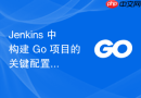 Jenkins 中构建 Go 项目的关键配置与常见错误排查指南