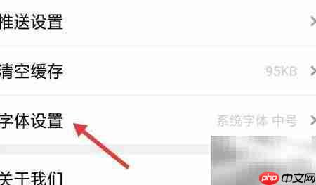 乐音清扬字体设置方法