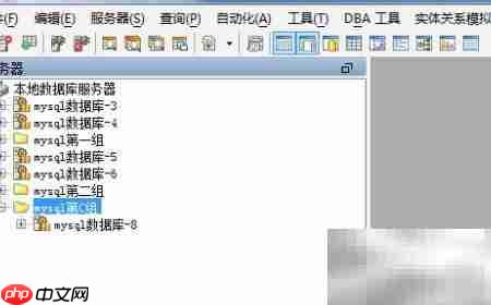 Aqua Data Studio修改服务器组
