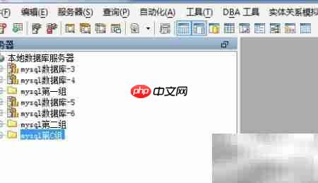 Aqua Data Studio修改服务器组