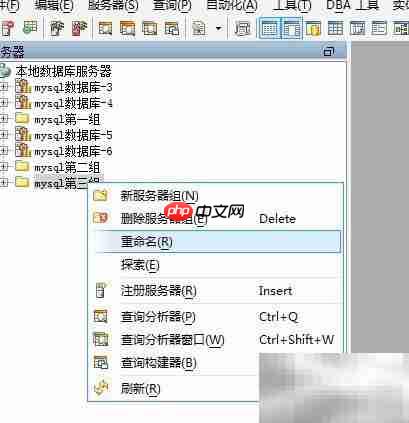 Aqua Data Studio修改服务器组