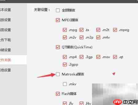 Matroska媒体设置指南