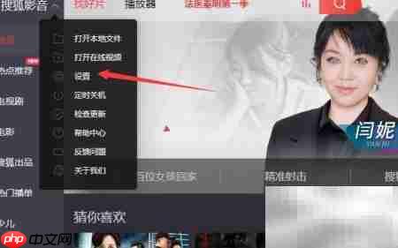 Matroska媒体设置指南