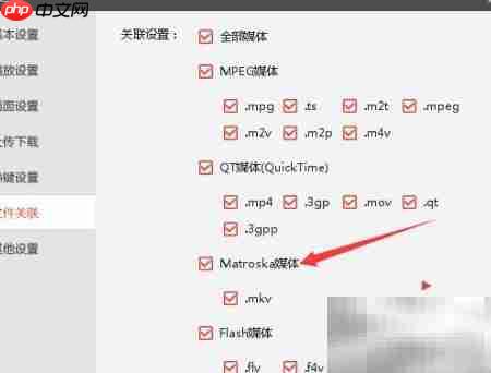 Matroska媒体设置指南