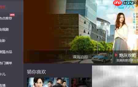 Matroska媒体设置指南