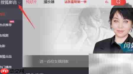 Matroska媒体设置指南