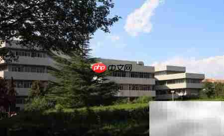 山东优秀一本大学盘点
