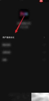 如何查看mix用户服务协议