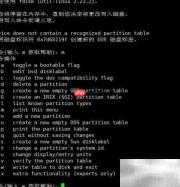 Linux fdisk分区指南