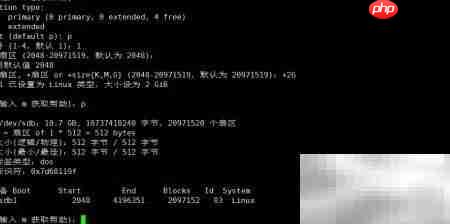 Linux fdisk分区指南