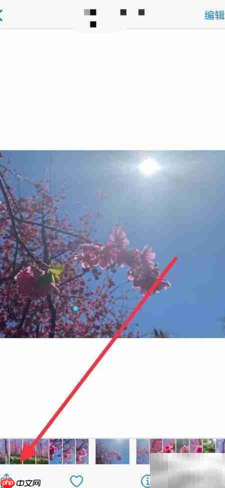 设此照为屏保