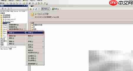 SQL Server 2005备份方法