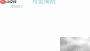 可爱海鸥手抄报创意设计