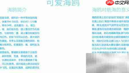 可爱海鸥手抄报创意设计