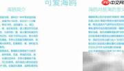 可爱海鸥手抄报创意设计