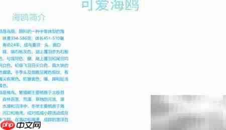 可爱海鸥手抄报创意设计