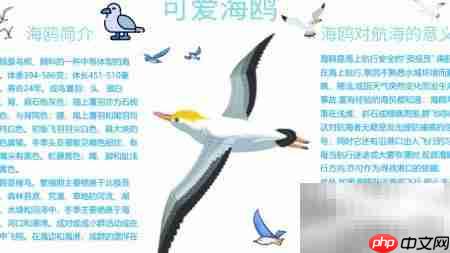 可爱海鸥手抄报创意设计
