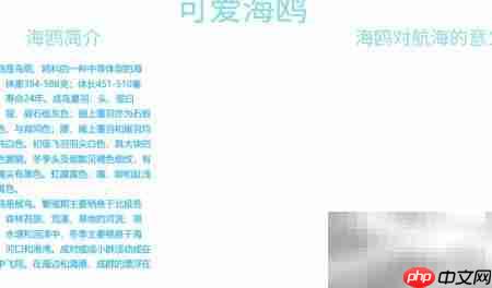 可爱海鸥手抄报创意设计