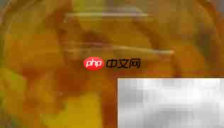 多芒小丸子制作秘诀