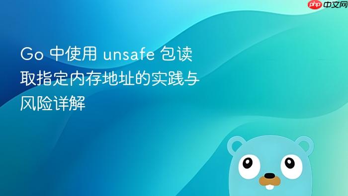 Go 中使用 unsafe 包读取指定内存地址的实践与风险详解