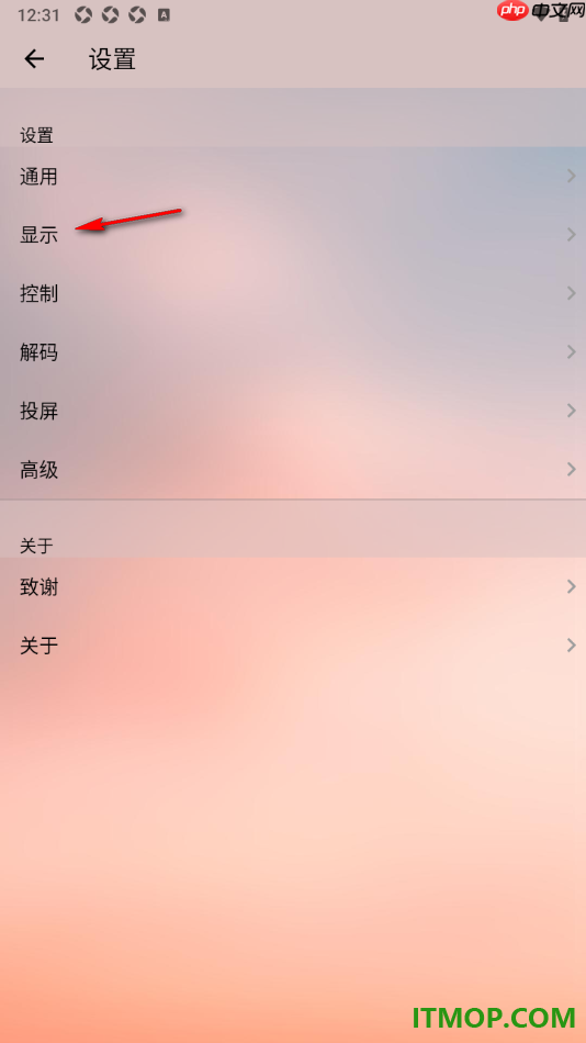 播放器OPlayer手机版设置显示目录大小的方法
