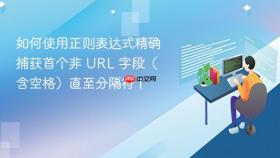 如何使用正则表达式精确捕获首个非 URL 字段(含空格)直至分隔符 |