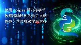 使用 ctypes 将内存字节数组精确映射为自定义结构体(含位域级字段对齐)