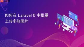 如何在 Laravel 8 中批量上传多张图片
