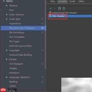 IntelliJ IDEA文件头注释指南