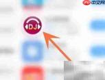 DJ音乐盒如何风靡网络