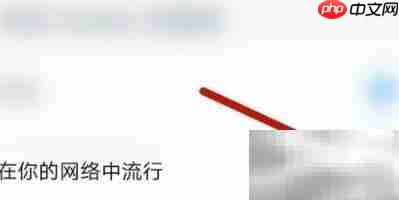 DJ音乐盒如何风靡网络