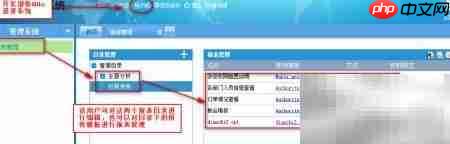 FineReport报表权限设置指南