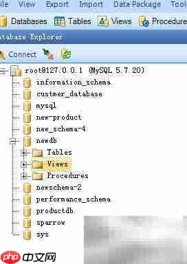 Database Master添加存储过程指南