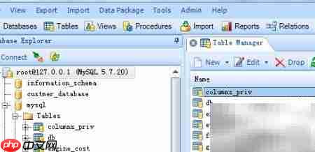 Database Master添加存储过程指南