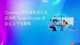 Quarkus 中实现多注入点区分的 TenantScope 自定义上下文教程