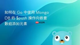 如何在 Go 中使用 MongoDB 的 $push 操作向嵌套数组添加元素