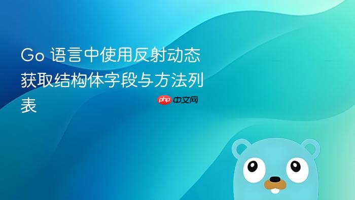 Go 语言中使用反射动态获取结构体字段与方法列表