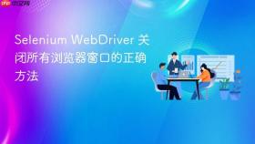 Selenium WebDriver 关闭所有浏览器窗口的正确方法
