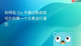 如何在 Go 中跳过数组或切片的第一个元素进行遍历