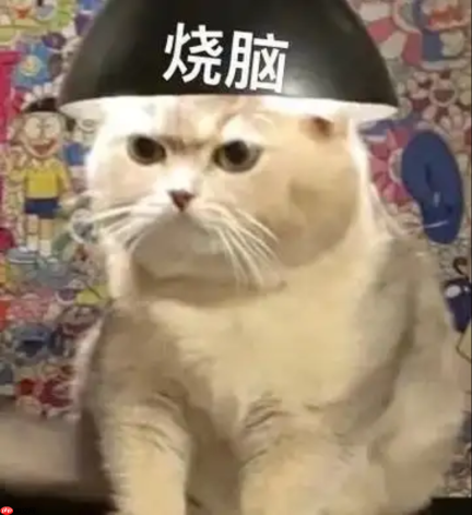 大模型终于说不出脏话了,有毒子词剪枝ToxPrune,预训练+推理双重防线