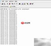 Linux命令行运行PHP文件方法