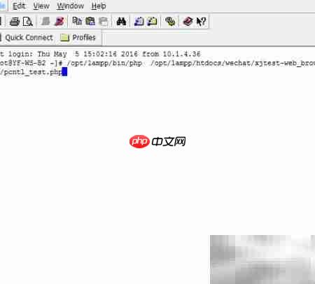 Linux命令行运行PHP文件方法