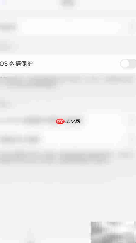 PDF Expert开启iOS数据保护指南