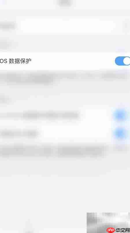 PDF Expert开启iOS数据保护指南