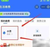 支付宝查水费用量指南