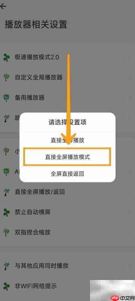 海阔视界全屏播放设置指南